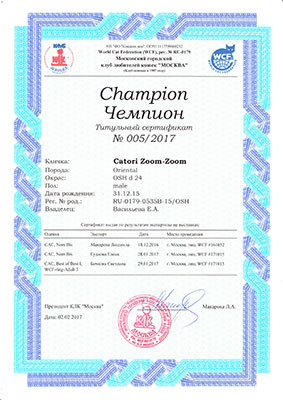 Сертификат чемпиона - готовый документ