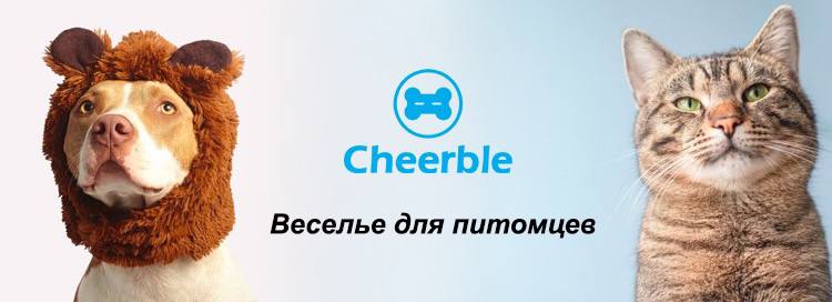 Сайт компании Cheerble