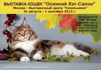 Международная выставка кошек Осенний 'Кэт-Салон' 31 августа - 1 сентября 2013 г.