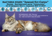 Международная выставка кошек Зимний 'Кэт-Салон' 22-23 февраля 2014 г.