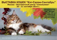 Международная выставка кошек 'Кэт-Салон-Сентябрь' 20-21 сентября 2014 г.