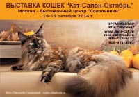 Международная выставка кошек 'Кэт-Салон-Октябрь' 18-19 октября 2014 г.