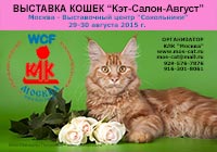 Международная выставка кошек 'Кэт-Салон-Август' 29-30 августа 2015 г.