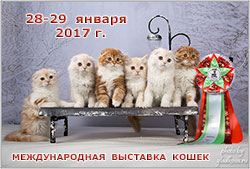 Международная выставка кошек 'Кэт-Салон-Январь' 28-29 января 2017 г.