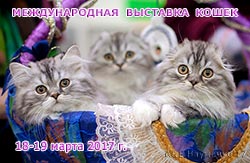 Международная выставка кошек 'Кэт-Салон-Март' 18-19 марта 2017 г.