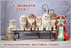 Международная выставка кошек 'Кэт-Салон-Февраль' 3-4 февраля 2018 г.
