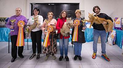 Международная выставка кошек 'Кэт-Салон-Сентябрь' 18-19 сентября 2021 г.