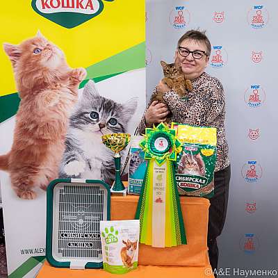 Выставка кошек 16-17.04.2022 Фотографии 11-51-0207_Moskva_16042022.jpg