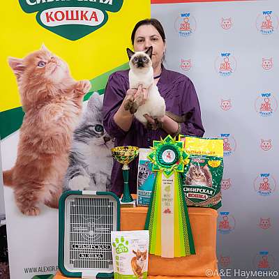 Выставка кошек 16-17.04.2022 Фотографии 12-91-0217_Moskva_16042022.jpg
