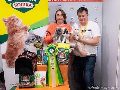 Выставка кошек 16-17.04.2022 Фотографии 13-7-0201_Moskva_16042022.jpg