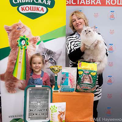 Выставка кошек 16-17.04.2022 Фотографии 3-45-0250_Moskva_16042022.jpg