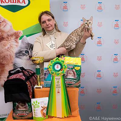 Выставка кошек 16-17.04.2022 Фотографии 5-65-0239_Moskva_16042022.jpg