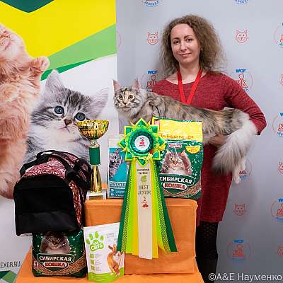 Выставка кошек 16-17.04.2022 Фотографии 6-19-0238_Moskva_16042022.jpg