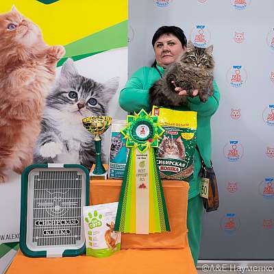 Выставка кошек 16-17.04.2022 Фотографии 7-50-0228_Moskva_16042022.jpg