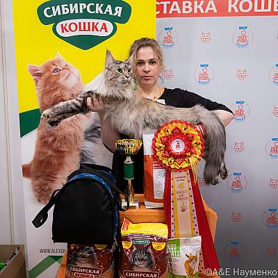 Выставка кошек 16-17.04.2022 Фотографии 1-21-0555_Moskva_17042022.jpg