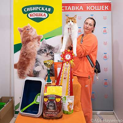 Выставка кошек 16-17.04.2022 Фотографии 3-12-0520_Moskva_17042022.jpg