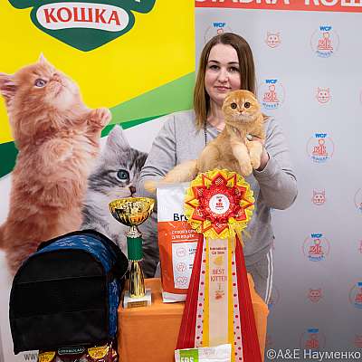 Выставка кошек 16-17.04.2022 Фотографии 9-83-0485_Moskva_17042022.jpg