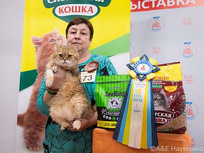 Выставка кошек 16-17.04.2022 Фотографии 4-73-0374_Moskva_17042022.jpg