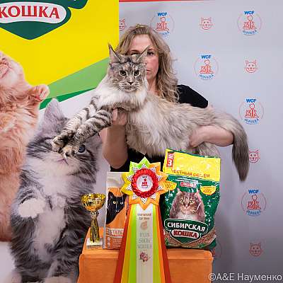 Выставка кошек 16-17.04.2022 Фотографии 1-21-0101_Moskva_16042022.jpg