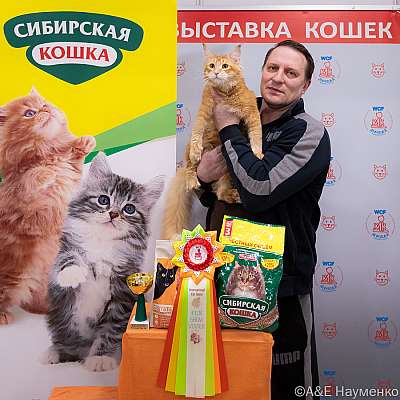Выставка кошек 16-17.04.2022 Фотографии 5-15-0103_Moskva_16042022.jpg