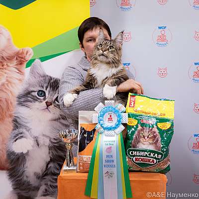 Выставка кошек 16-17.04.2022 Фотографии 8-26-0097_Moskva_16042022.jpg