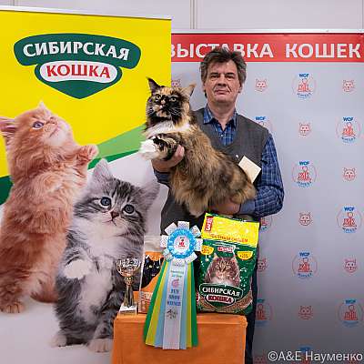 Выставка кошек 16-17.04.2022 Фотографии 9-16-0096_Moskva_16042022.jpg