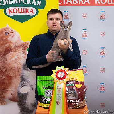 Выставка кошек 16-17.04.2022 Фотографии 7-75-0424_Moskva_17042022.jpg