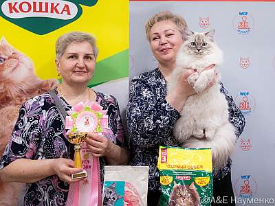 Выставка кошек 16-17.04.2022 Фотографии 2-47-0183_Moskva_16042022.jpg