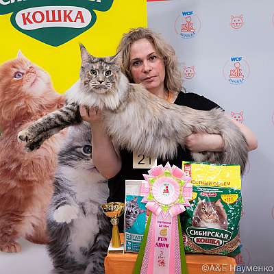 Выставка кошек 16-17.04.2022 Фотографии 3-21-0187_Moskva_16042022.jpg