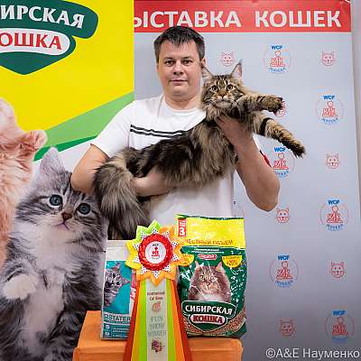 Выставка кошек 16-17.04.2022 Фотографии 7-27-0180_Moskva_16042022.jpg