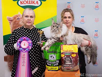 Выставка кошек 16-17.04.2022 Фотографии 1-21-0359_Moskva_17042022.jpg