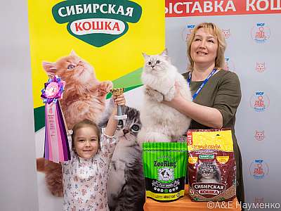 Выставка кошек 16-17.04.2022 Фотографии 2-45-0357_Moskva_17042022.jpg