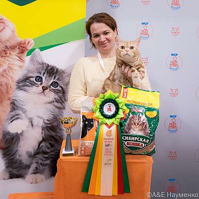 Выставка кошек 16-17.04.2022 Фотографии 5-58-0127_Moskva_16042022.jpg