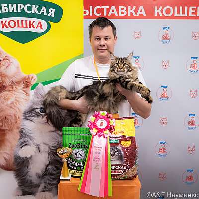 Выставка кошек 16-17.04.2022 Фотографии 4-27-0309_Moskva_17042022.jpg