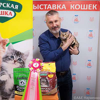 Выставка кошек 16-17.04.2022 Фотографии 7-63-0308_Moskva_17042022.jpg