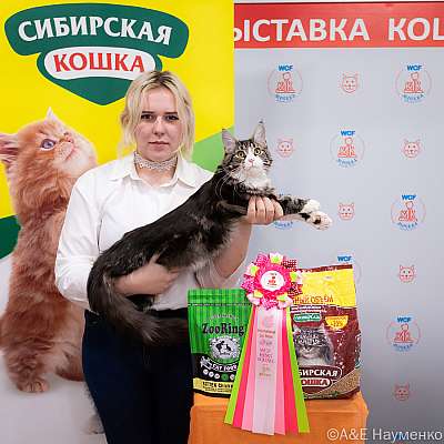 Выставка кошек 16-17.04.2022 Фотографии 9-25-0311_Moskva_17042022.jpg