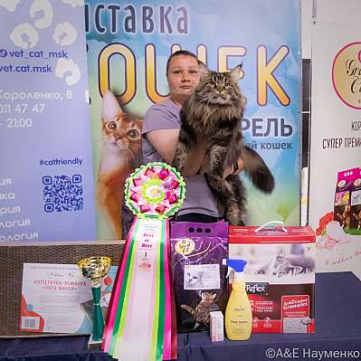 Выставка кошек 23-24.07.2022 Фотографии 1-21-IMG_6619.jpg