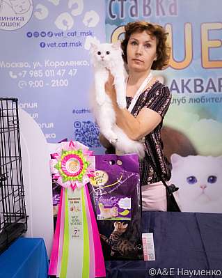 Выставка кошек 23-24.07.2022 Фотографии 7-4-image133.jpg
