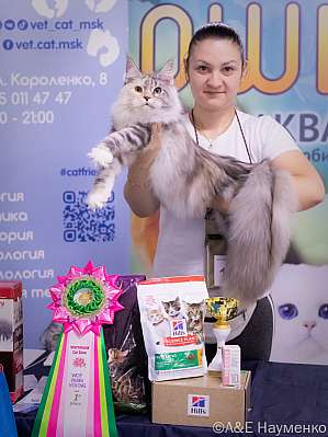 Выставка кошек 23-24.07.2022 Фотографии 1-18-IMG_4969.jpg
