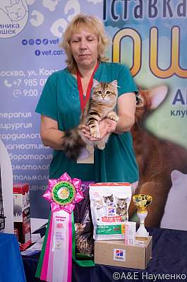 Выставка кошек 23-24.07.2022 Фотографии 4-42-IMG_4897.jpg