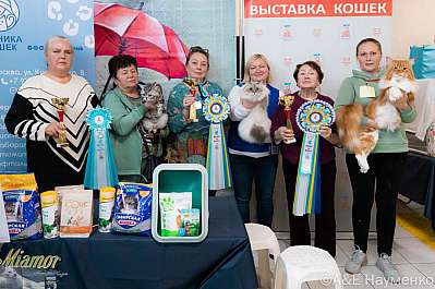 Выставка кошек 17-18.09.2022 Фотографии 14-0260_klk_Moskva.jpg