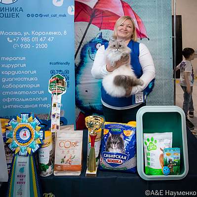 Выставка кошек 17-18.09.2022 Фотографии 2-35-0258_klk_Moskva.jpg