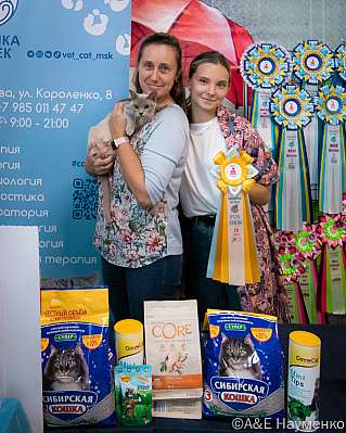 Выставка кошек 17-18.09.2022 Фотографии 10-71-0151_klk_Moskva.jpg
