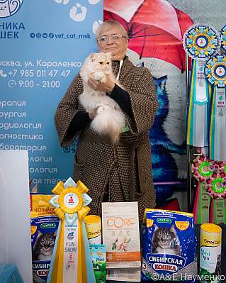 Выставка кошек 17-18.09.2022 Фотографии 5-25-0149_klk_Moskva.jpg