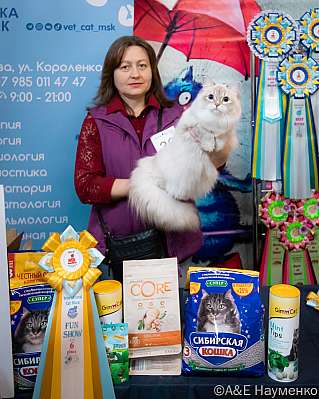 Выставка кошек 17-18.09.2022 Фотографии 6-36-0137_klk_Moskva.jpg