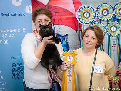 Выставка кошек 17-18.09.2022 Фотографии 8-59-0147_klk_Moskva.jpg