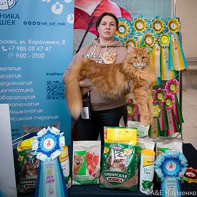 Выставка кошек 17-18.09.2022 Фотографии 5-8-0339_klk_Moskva.jpg