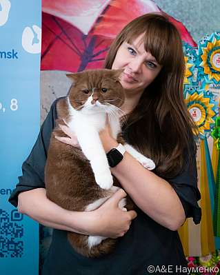 Выставка кошек 17-18.09.2022 Фотографии 6-101-0420_klk_Moskva.jpg