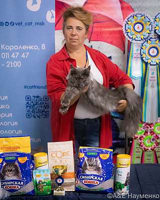 Выставка кошек 17-18.09.2022 Фотографии 5-2-0060_klk_Moskva.jpg