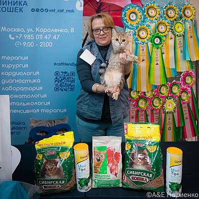 Выставка кошек 17-18.09.2022 Фотографии 10-122-0462_klk_Moskva.jpg